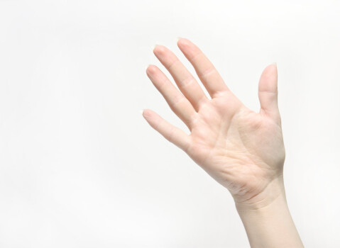 Afscheid lid Examenadviescommissie